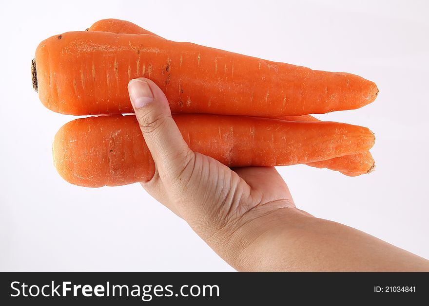 Fresh carrots in hand on white background