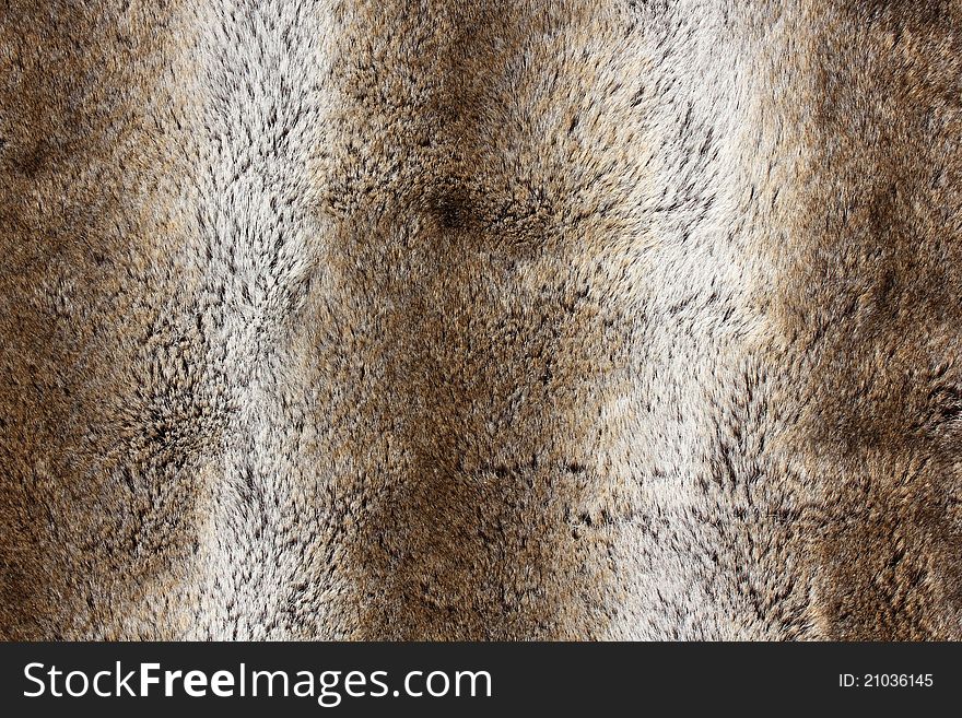 Rabbit Fur Background - Close Up