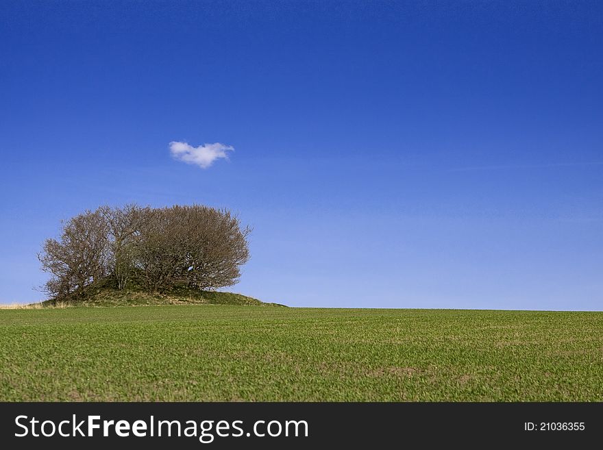 Landscape with trees, and blue skye. Landscape with trees, and blue skye