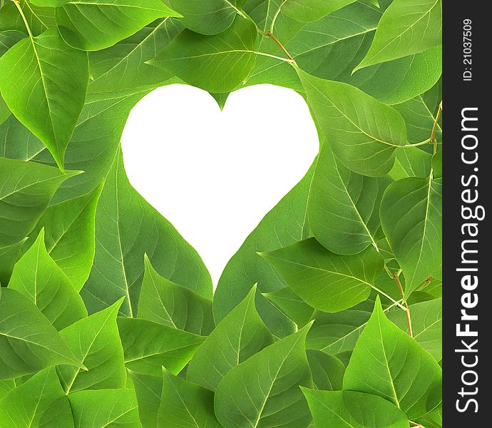 Nature concept. Heart shape for your images or text on green leaves background. Nature concept. Heart shape for your images or text on green leaves background