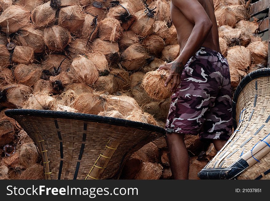 Move coconut in truck to store