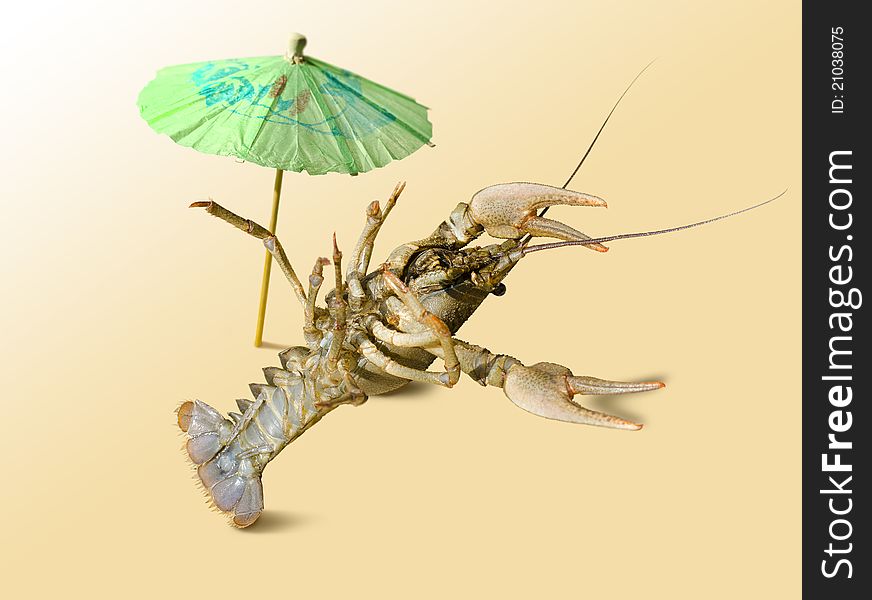 A crayfish is under green umbrella isolated from the background. A crayfish is under green umbrella isolated from the background.