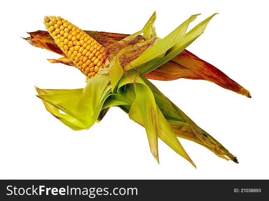 Corncobs in husk isolated over white background. Corncobs in husk isolated over white background.