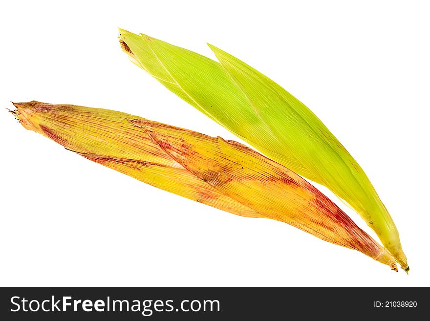 Corncobs in husk isolated over white background. Corncobs in husk isolated over white background.