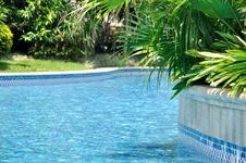 Swimming Pool And Green Plant Arround Stock Image Swimming Pool And Green Plant Arround Stock Image