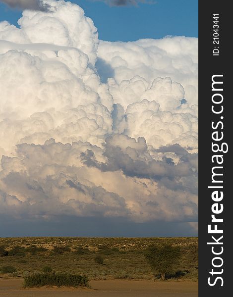 A massive cumulus cloud formation in the kalahari desert, South Africa. A massive cumulus cloud formation in the kalahari desert, South Africa