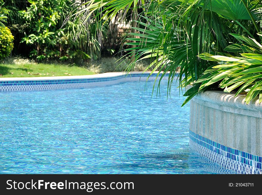 Green plant arround of swimming pool, shown as beautiful green and blue color and good environment for living or holiday. Green plant arround of swimming pool, shown as beautiful green and blue color and good environment for living or holiday.