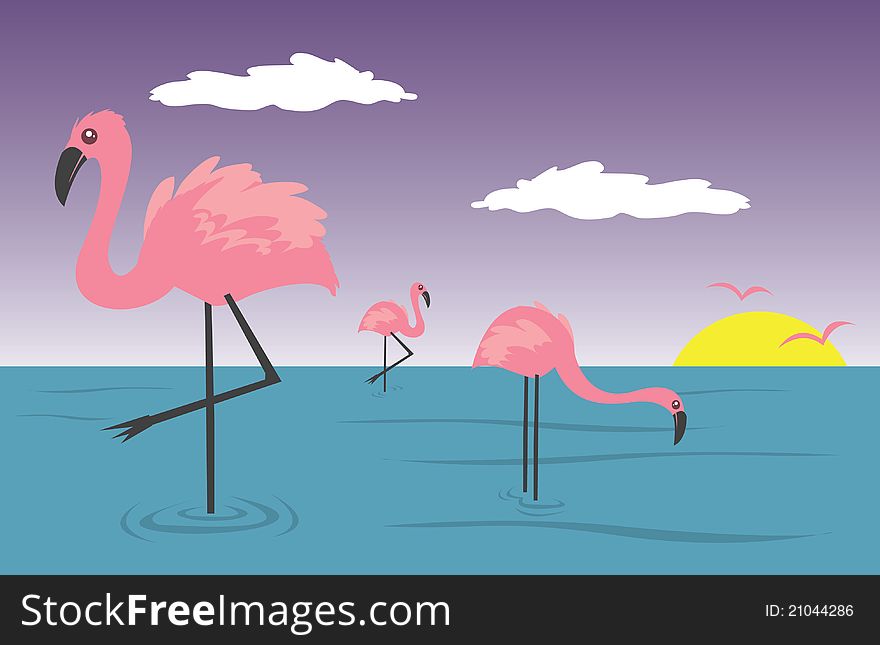 Flamingos in the water with sunset in the background.