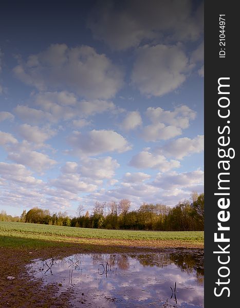 Large swamp in the fields after the rainy period. Forest in the distance and the cloudy sky. Large swamp in the fields after the rainy period. Forest in the distance and the cloudy sky.