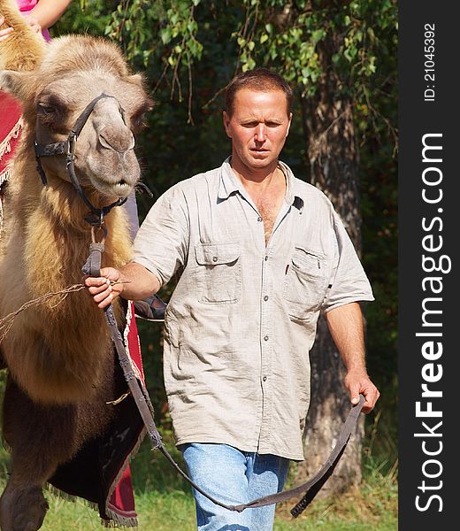 Camel driver leads the animal on the road. Camel driver leads the animal on the road