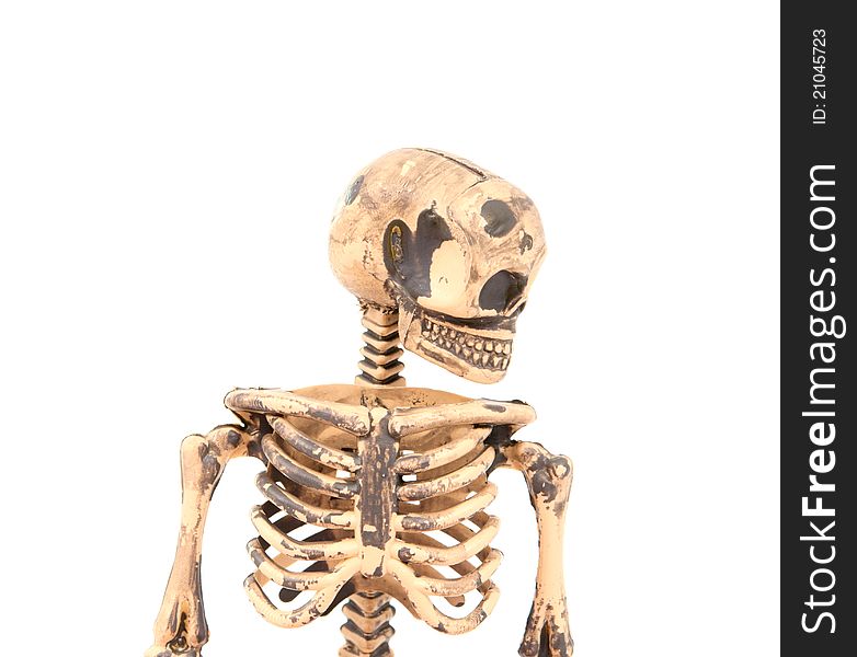 Skeleton on a white background