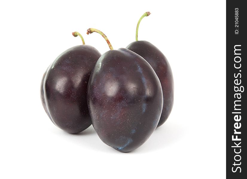 Plum on a white background