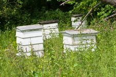 Beehives Stock Photography Beehives Stock Photography