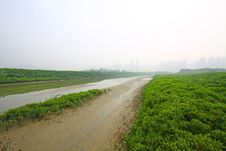 Free Wetland In Hong Kong Stock Photos - 21059033