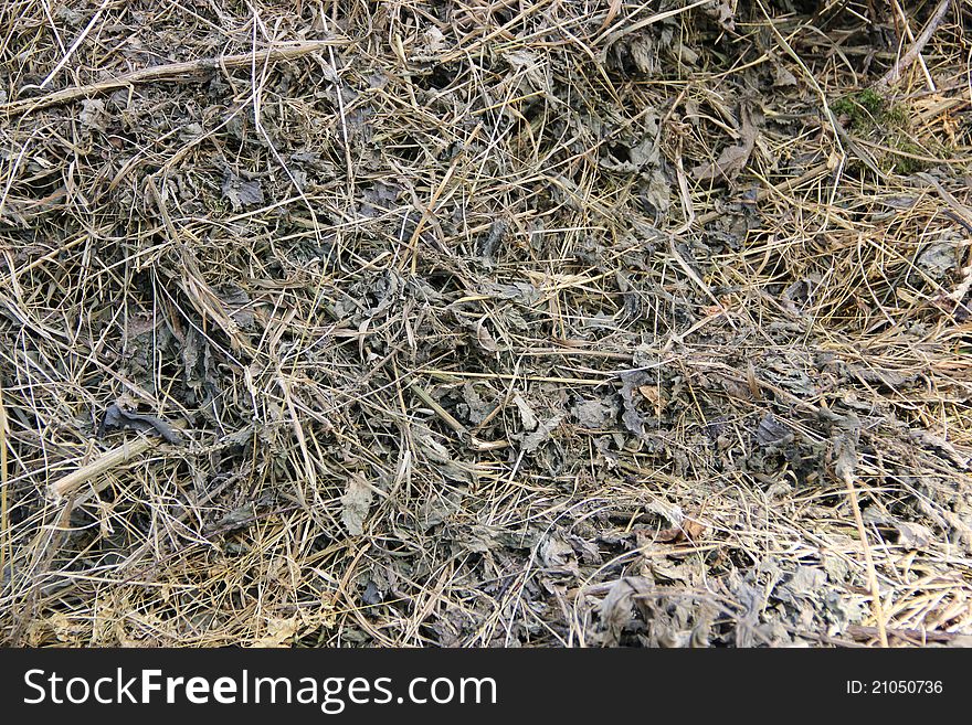 The photo of old grass which may be used as a background. The photo of old grass which may be used as a background