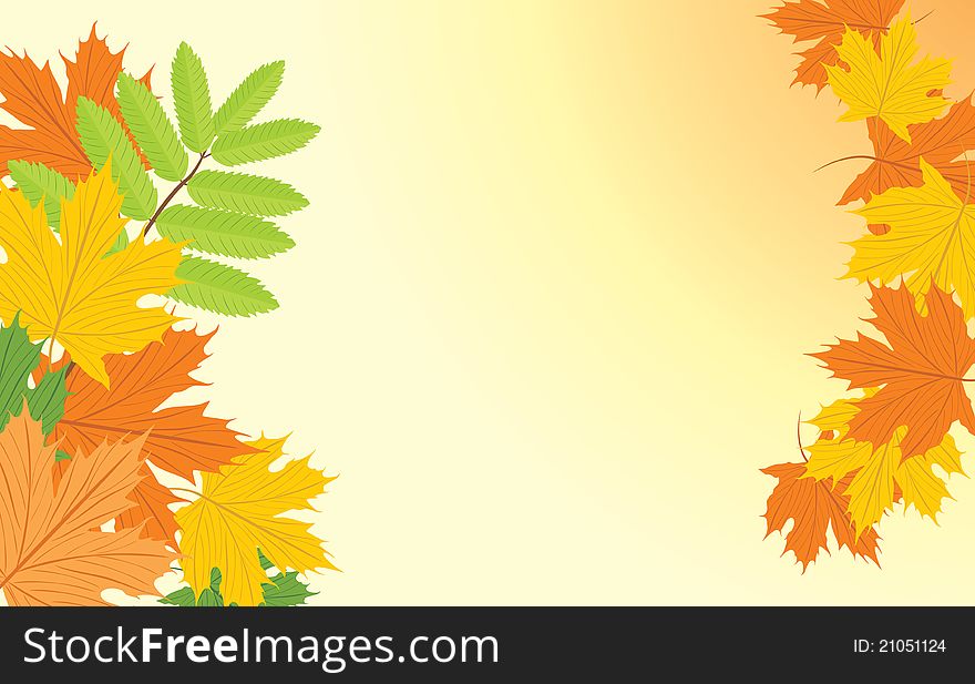 Autumn Background With Maple And Ash Leaves