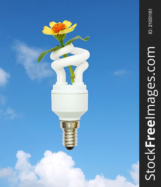 Energy saving light bulb and flower in the blue sky