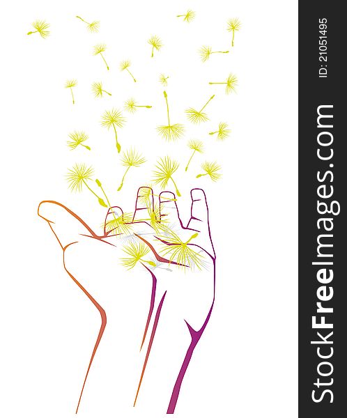 Open Hand With Flying Dandelion Blossoms