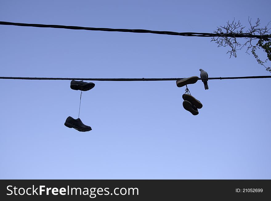 Hung Shoes.