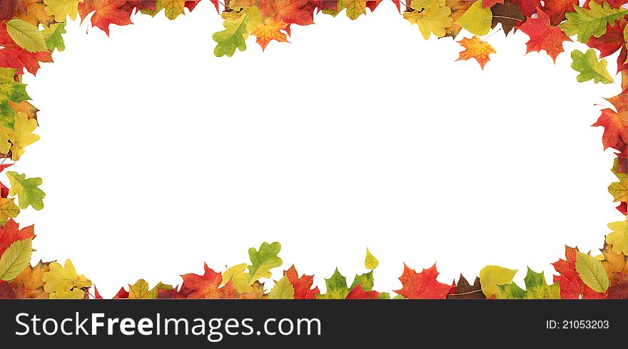 Colorful autumn leaves isolated on white. Colorful autumn leaves isolated on white