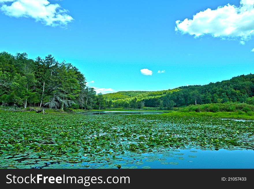 A lake in upstate New York taken in HDR. A lake in upstate New York taken in HDR.