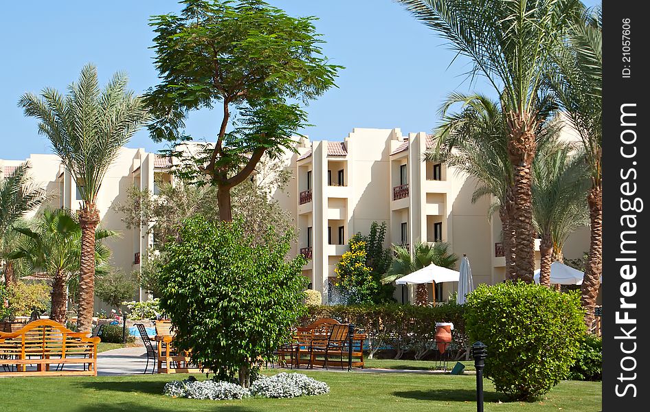 Palms and evergreen plants in hotel