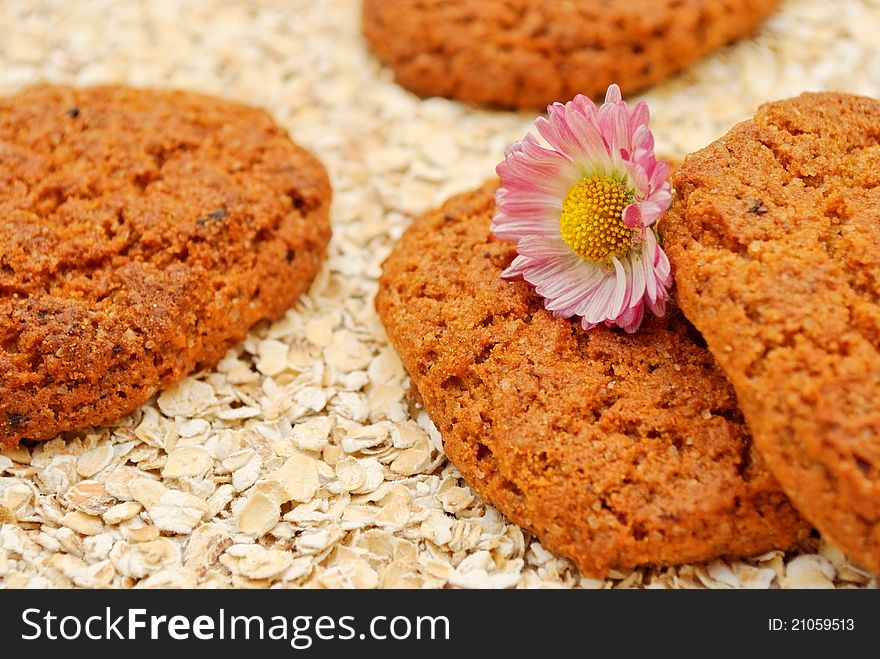 Oatmeal cookies closeup on oat grains texture. Oatmeal cookies closeup on oat grains texture