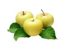 Three Apples With Leaves Stock Photo