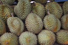 Durian Fruits Stock Photography Durian Fruits Stock Photography