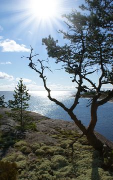 Ladoga Lake. Karelia Stock Photography Ladoga Lake. Karelia Stock Photography