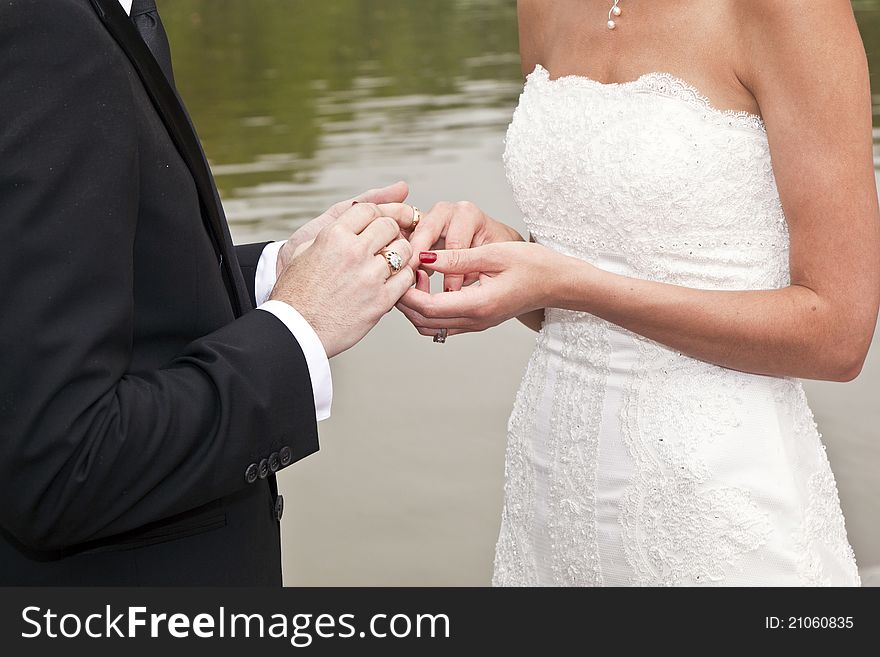 Wedding couple are swearing lifetime loyality in the park in the wedding ceremony