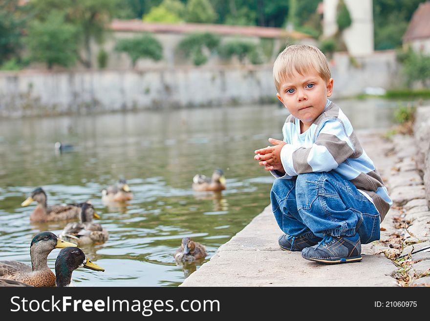 Cute Little Boy Feeding Ducks