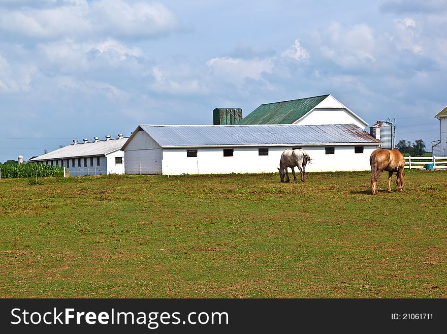 Farm house with field and silo in beautiful landscape
