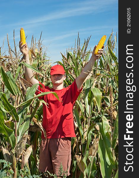 A young farmer in a corn field. A young farmer in a corn field