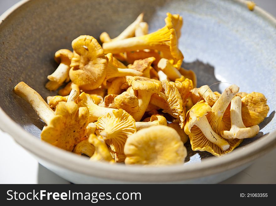 Chanterelles