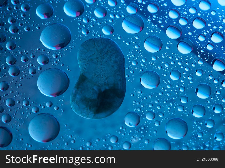 Water bubbles on d blue background