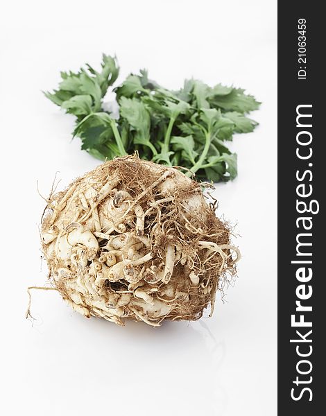 A celery on white background