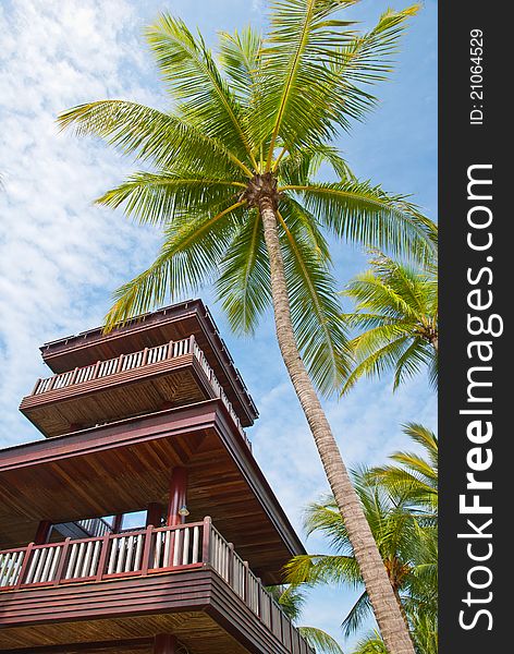 Coconut Tree With Watch Tower