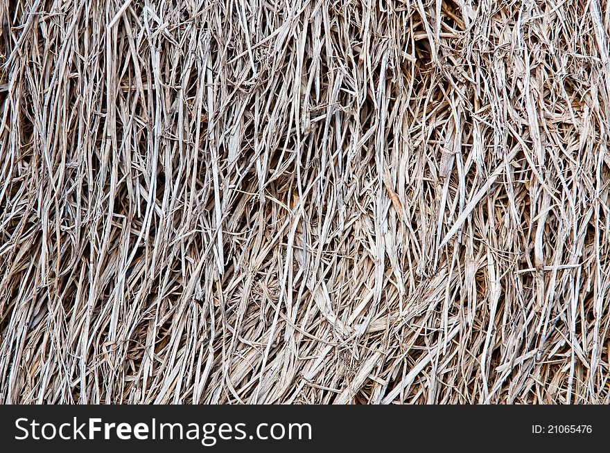Dry brown grass macro background. Dry brown grass macro background.