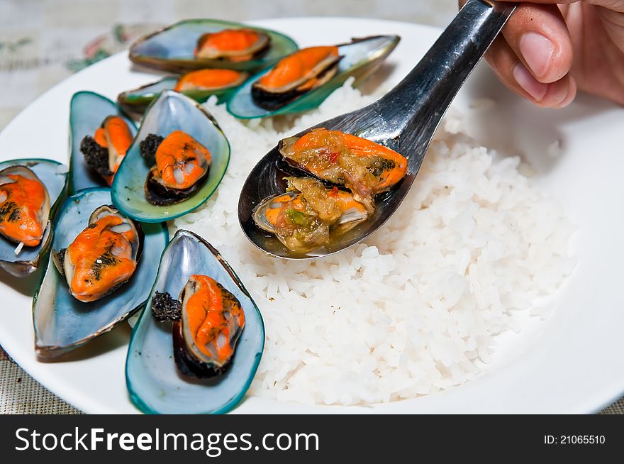 Mussels with white rice on the container. Mussels with white rice on the container.