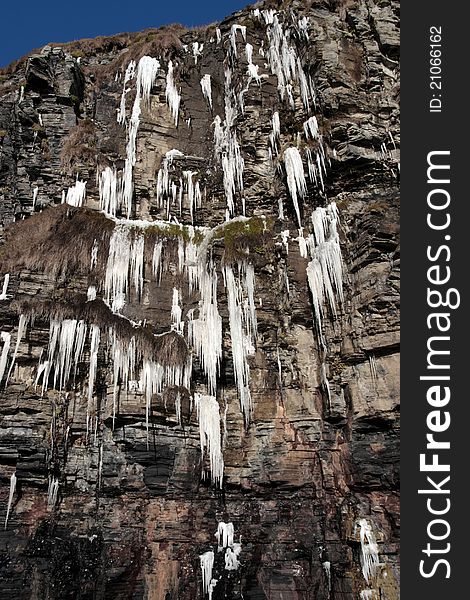 Cascade of icicles on a cliff face
