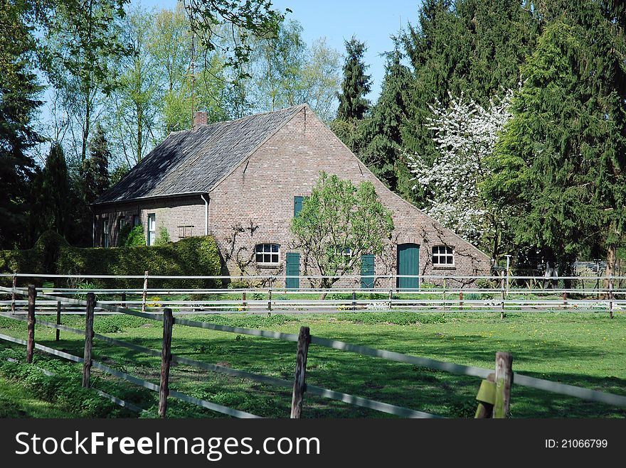 Dutch  Farm Ranch With Pasture, Fencing And Trees