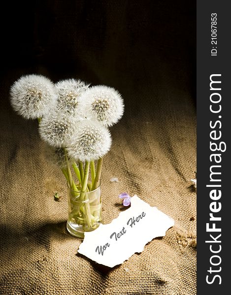 Bouquet of dandelions and card. Studio shot. Bouquet of dandelions and card. Studio shot