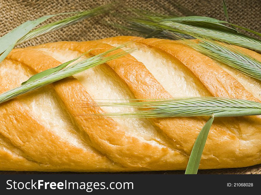Fresh bread. close up studio shot