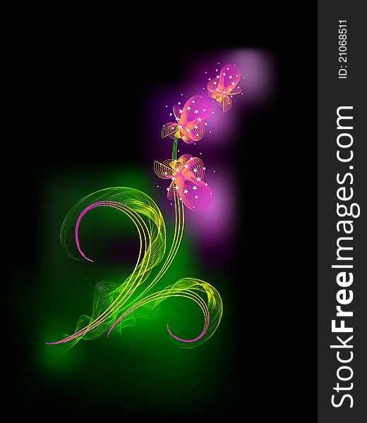 The Vector drawing of flower. On black background gentile orchid. Stylized. Abstract.