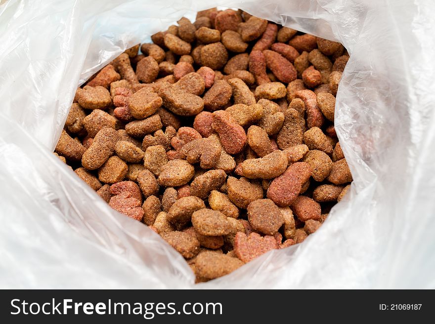 Healthy food for domestic pet in a packet. Cat food. Healthy food for domestic pet in a packet. Cat food