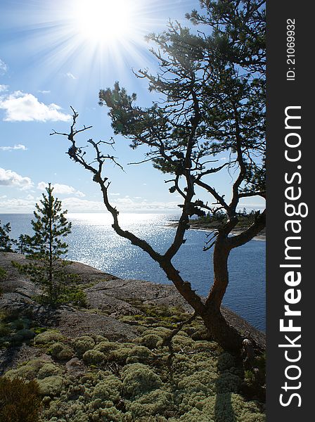 Ladoga lake. Karelian nature, the northern landscape , sunny