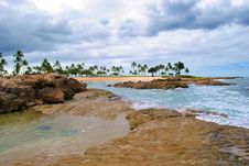 Hawaiian Tidal Pool Stock Photo