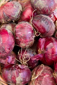 Red Onions Stock Image Red Onions Stock Image