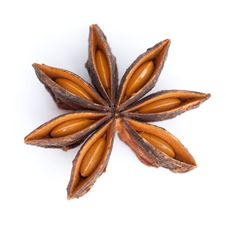 Anise Star Stock Image Anise Star Stock Image